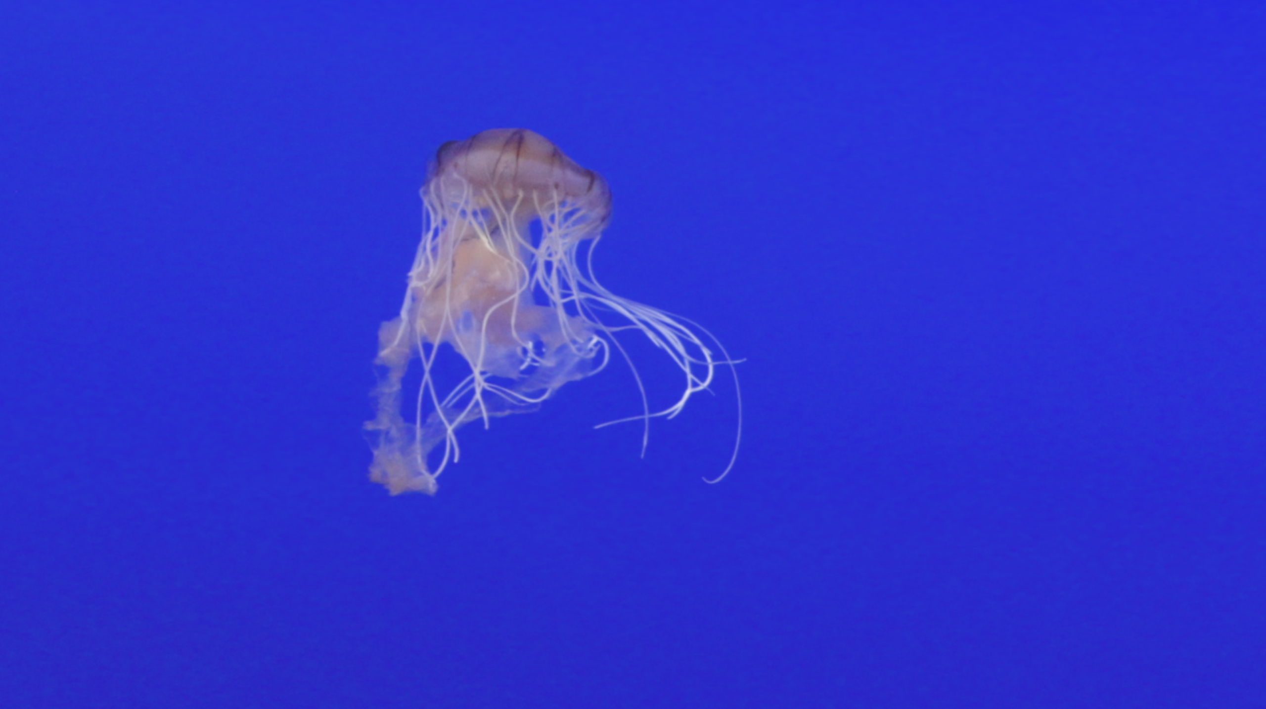 Screenshot 2026-01-10 133010