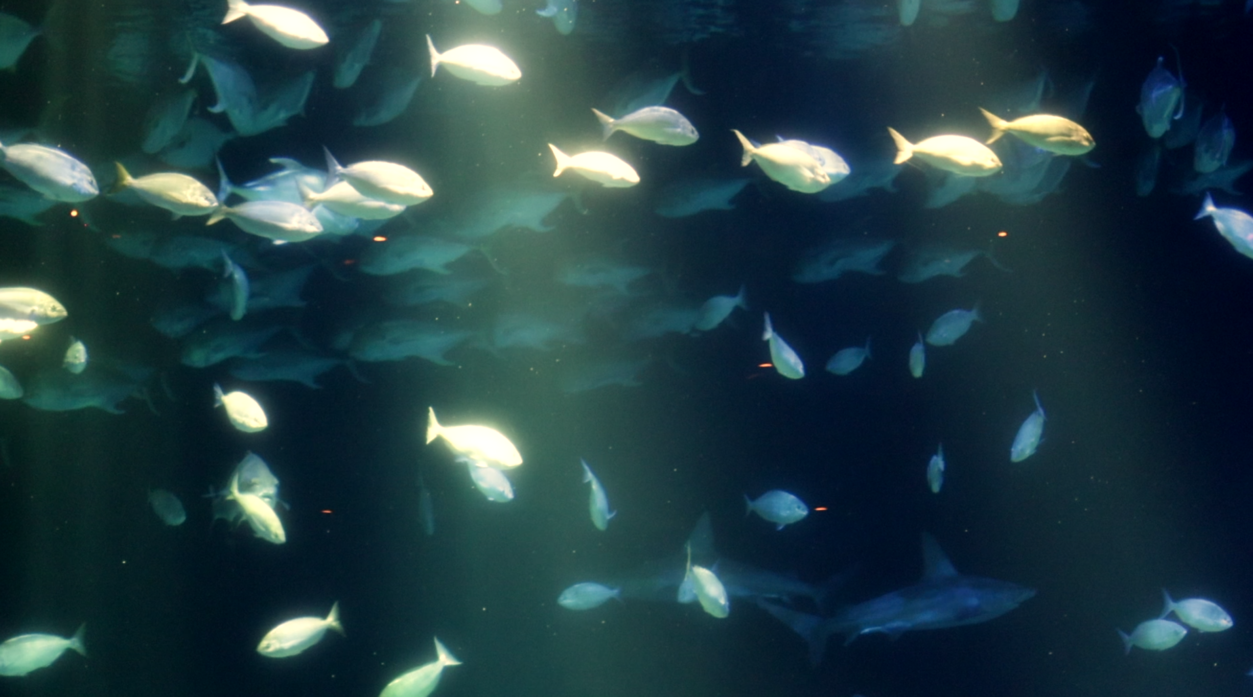 Screenshot 2026-01-10 133052