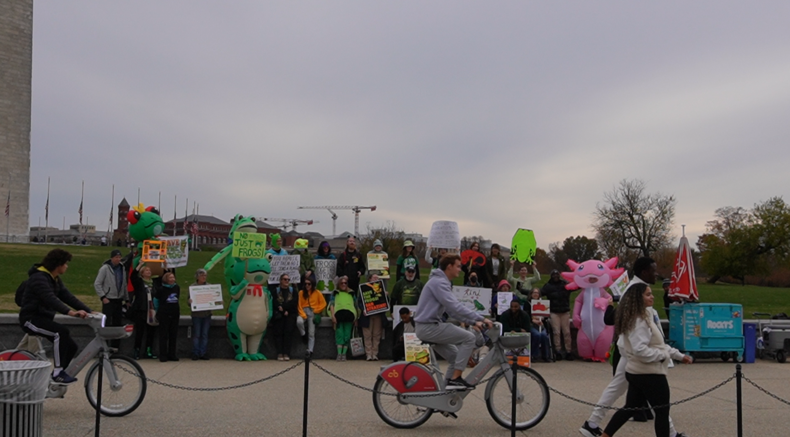 Screenshot 2026-01-10 172641