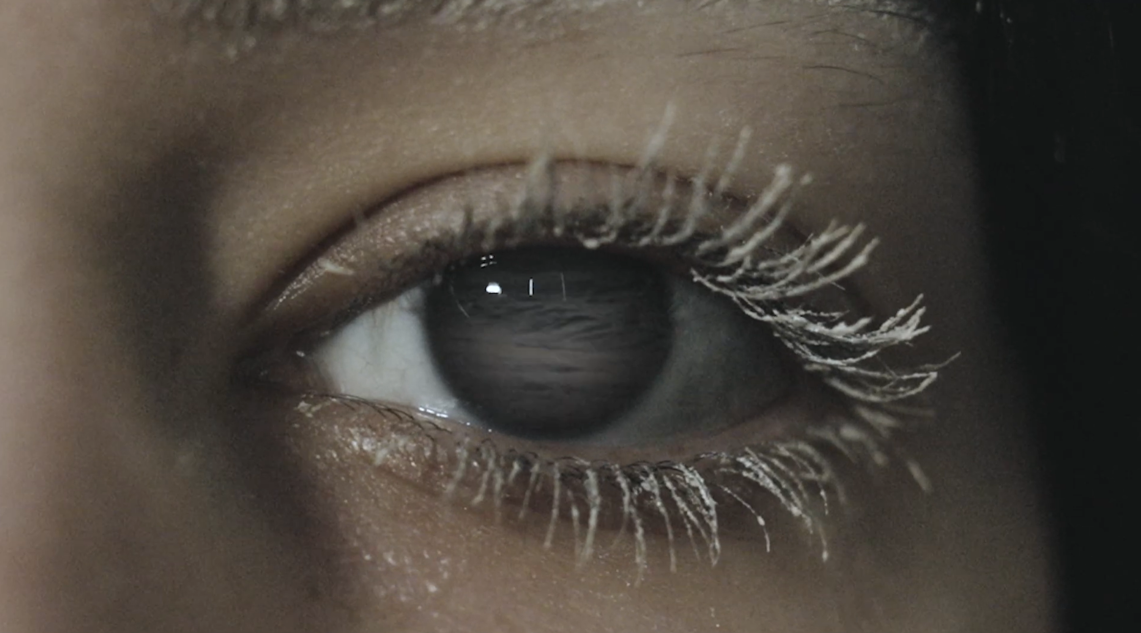 Screenshot 2026-01-10 173040